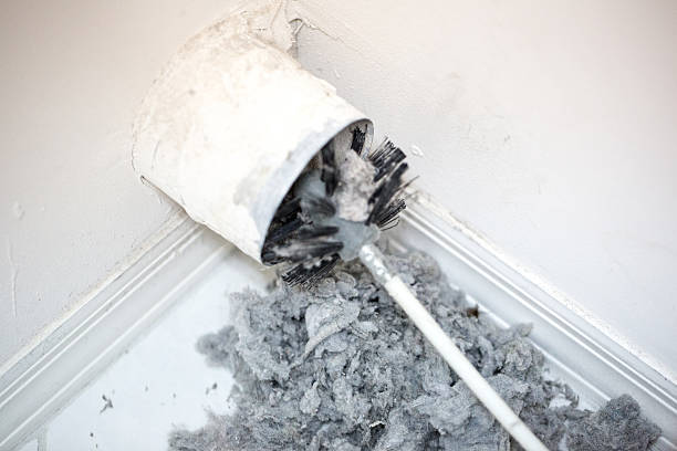 Best Residential Air Duct Cleaning  in Coleman, MI